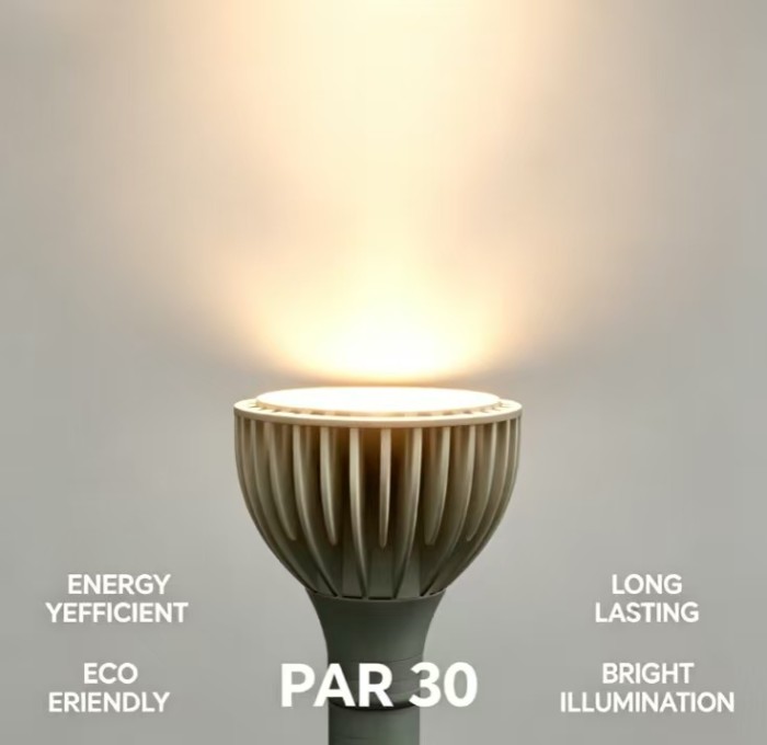 PAR30 LED Flood Light Bulb, 15W 150W Equivalent, 1500 Lumens, Dimmable, 3000K Warm White, Single COB Chip, E26 Base, Premium & Durable, for Outdoor Security & Recessed Lighting 2pack, by Rowrun