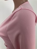 Sexy V-neck Zipper Mini Dress