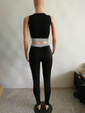 Casual Sports Crop Vest Top and Pant