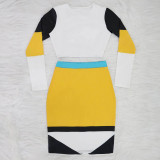 Sexy Contrast Long Sleeve Crop Top and Mini Skirt
