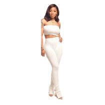 Casual Pit Wrap Crop Top and Pants Set