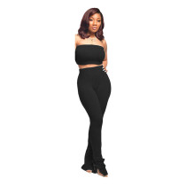 Casual Pit Wrap Crop Top and Pants Set
