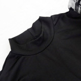Black Turtleneck Mesh Lantern Sleeve Mid Dress