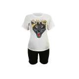 Casual Animal Print T-shirt Shorts Set