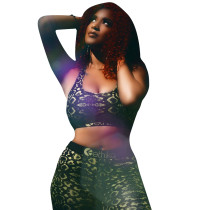 Casual Print Vest Crop Top and Long Pants