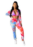 Casual Print Zipper Crop Top and Trousers