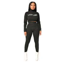 Casual Embroidered High Neck Crop Top and Pant