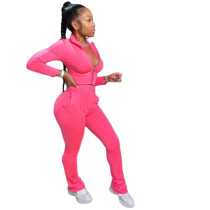 Solid Color Turn-down Neck Sports 2 Piece Set