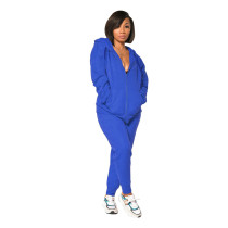 Casual Zipper Print Hoodie Sweatshirt Pant Set