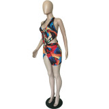 Sexy Colorful Printed Swimsuit Dress