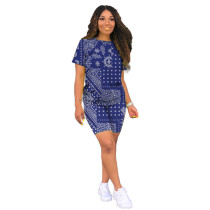 Casual Print Two Piece Shorts Set