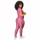Casual Jacquard Short Sleeve Sports Yoga Pant Set