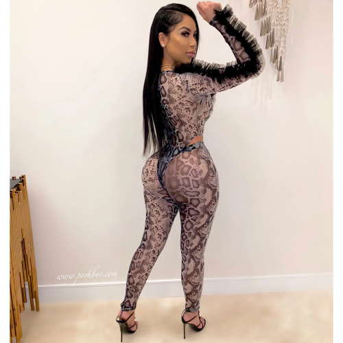 Casual V Neck Mesh Snake Print See Through Romper and Pant