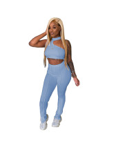 Solid Color Vest Crop Top and Trousers