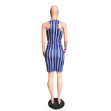 Casual Striped Print Mini Dress