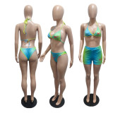 3 Piece Printed Gradient Bikini Set and Shorts (Available 16th May)