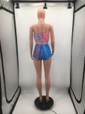 Two Piece Pant Set Print Sexy Tube Top and Shorts