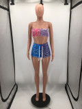 Two Piece Pant Set Print Sexy Tube Top and Shorts