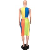Plus Size Sleeveless Colorful Crop Top and Long Skirt