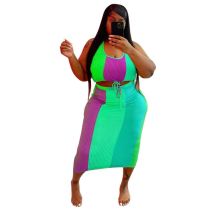 Plus Size Sleeveless Colorful Crop Top and Long Skirt