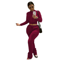 Solid Color Wine Red Zipper Velvet Two-piece Set with Pocket