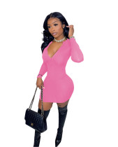 Fashion Trends 2021 Pink Pit Embroidered Zipper Mini Dress