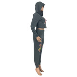 Casual Autumn/Winter Printed Hooded Sweatsuit Pant Set