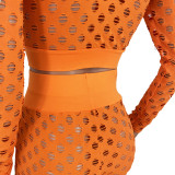 Women's Casual Orange 2 Piece Outfits Sheer Jacquard Hole Long Sleeve Blouse Tops and Pants Clubwear Set
