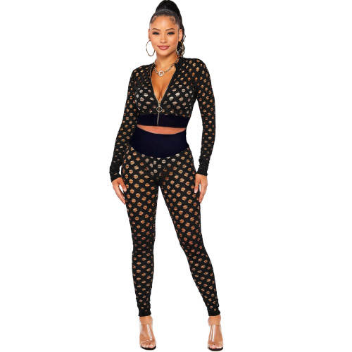 Women's Casual Black 2 Piece Outfits Sheer Jacquard Hole Long Sleeve Blouse Tops and Pants Clubwear Set