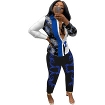 Casual Floral Longs Print Single-Breasted Women's Two Piece Sets