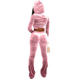 Pink Velour Winter Clothes Autumn Winter Velvet Hooded Casual Pants Sets For Women