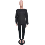 Black Fashion Casual Solid Basic O Neck Long Sleeve Two Pieces For Winter