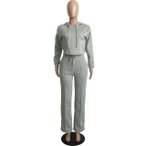 Casual Solid Grey Drawstring Long Sleeve Sweatpants Hoodie Set For Women