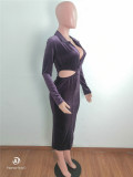 Dark Purple Turndown Collar Cutout Bodycon Midi Dress