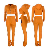 Solid Color Orange Zipper Velvet Hoodie Sweatpant Two Piece Winter Filed Sleeves Piled Pants Set