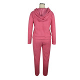 Solid Color Pink Plush Hooded Long Sleeve Winter 2 Piece Pant Set