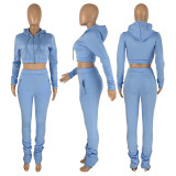 Solid Color Light Blue Zipper Velvet Hoodie Sweatpant Two Piece Winter Filed Sleeves Piled Pants Set