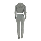 Solid Color Light Grey Zipper Velvet Hoodie Sweatpant Two Piece Winter Filed Sleeves Piled Pants Set