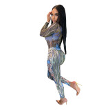 Sexy Stretch Print Mesh One-piece Pants Jumpsuit