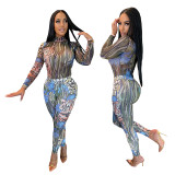 Sexy Stretch Print Mesh One-piece Pants Jumpsuit