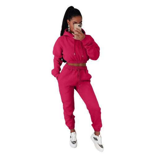 Women Winter Clothes Casual Rose Thick Hooded Sweatpants Two Piece Outfits Set