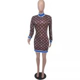 Casual Brown Pullover Print Club Dress For Spring Autumn