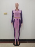 Lady Solid Purple Long Sleeve Stitching Lapel Pant Set with Zipper