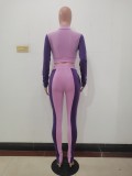 Lady Solid Purple Long Sleeve Stitching Lapel Pant Set with Zipper