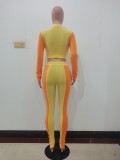 Lady Solid Orange/Yellow Long Sleeve Stitching Lapel Pant Set with Zipper