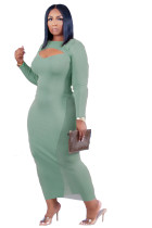 Casual Solid Color Pastel Green Plus Size Mesh Long Dress with Hollow