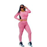 Pink Fitness Running Outdoor Quick-drying Tight 2 Piece Sexy Yoga Set