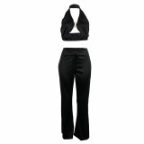 Sexy Halter Crop Top and Trousers