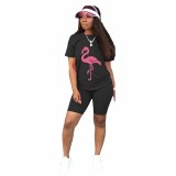 Casual Black Short Sleeves T shirts And Tights 2 Piece Outfits For Girls