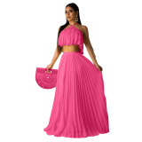 Casual Rose Pleated Straps Crop Top and Skirts Set